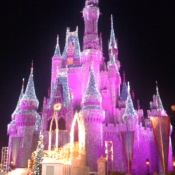 Magic Castle Disney World