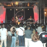 Italy Francine Reed and Java Monkey