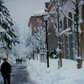 Swiss Village snow scene